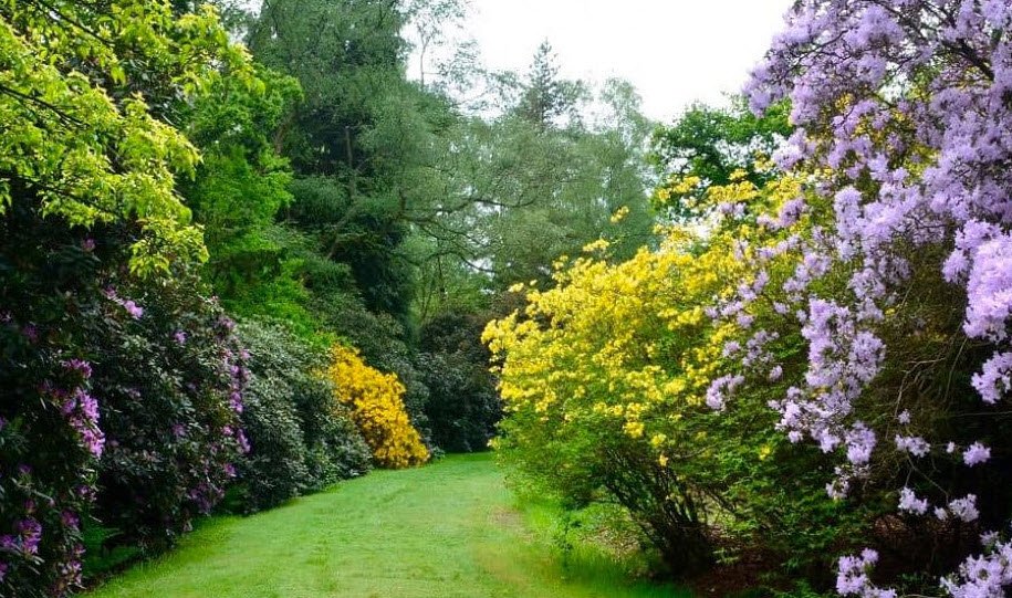 Harcourt Arboretum, United Kingdom